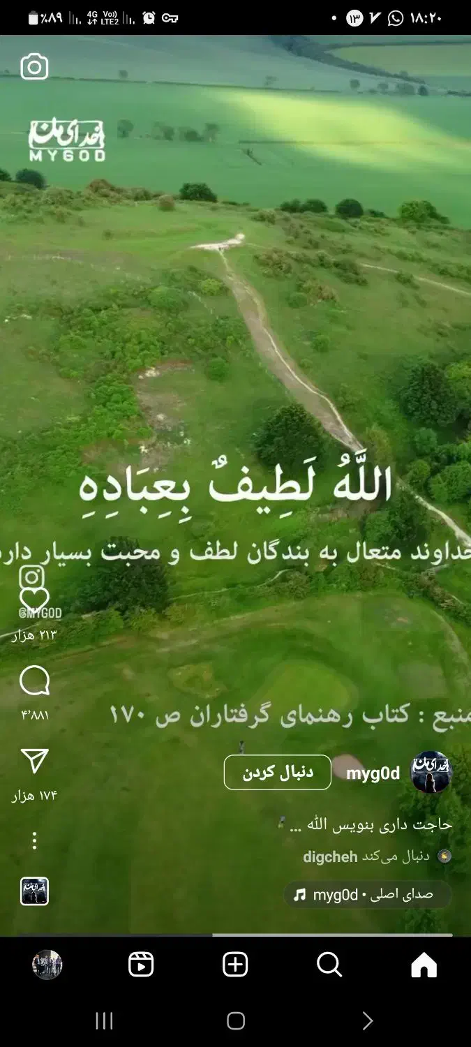 پرستار سالمند|خدمات نظافت|صومعه‌سرا, |دیوار