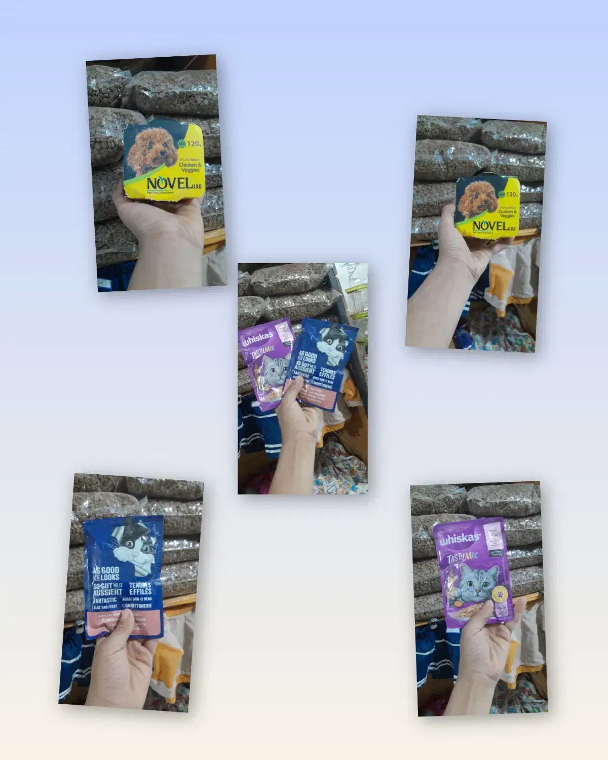 فروش لوازم سگ|لوازم جانبی حیوانات|خاوران, |دیوار