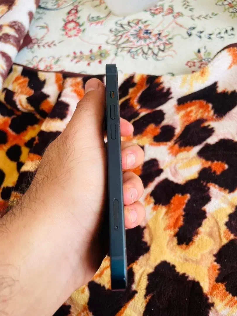 iphone 13|موبایل|برازجان, |دیوار