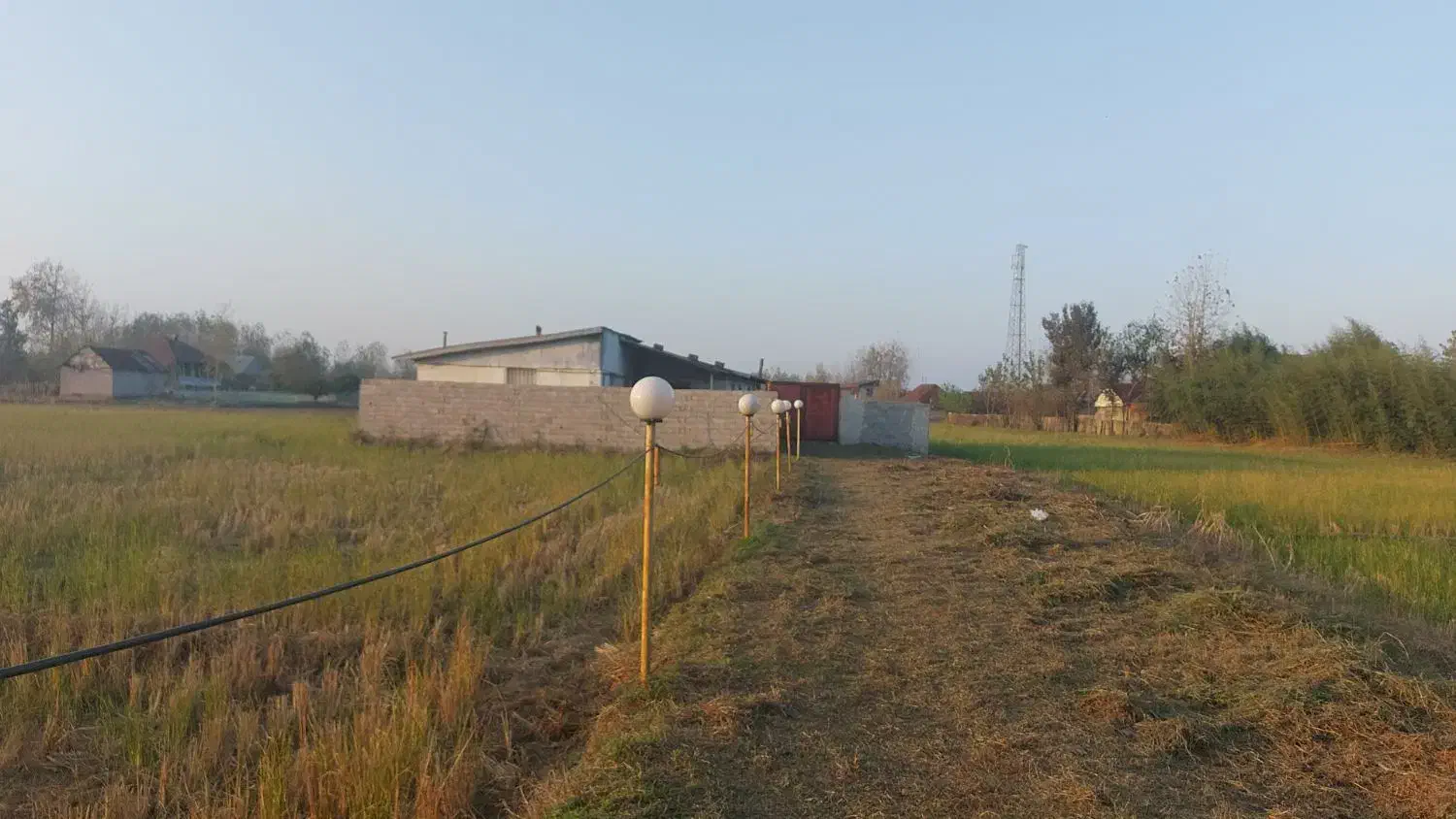 سوله برای گاوداری|فروش دفتر صنعتی، کشاورزی، تجاری|آستانه اشرفیه, |دیوار