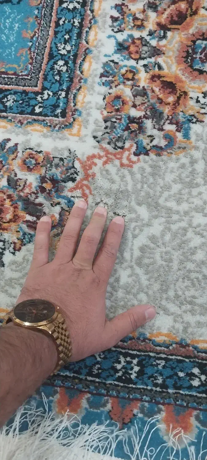 فرش 12متری|فرش|مرودشت, سهل‌آباد|دیوار