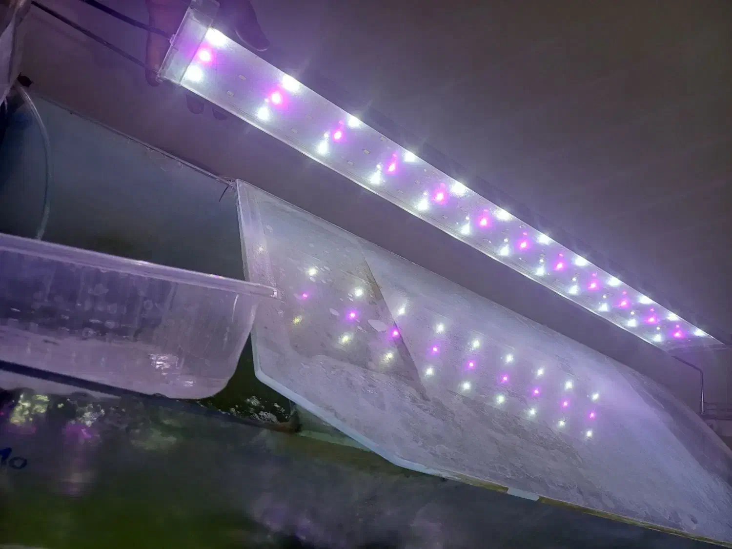 لامپ اکواریوم|ماهی|آبیک, |دیوار