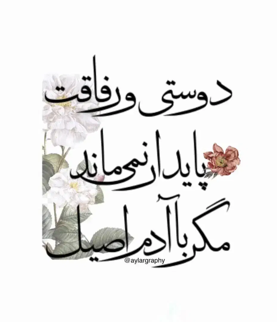 جذب سرمایه گذار|عمدهفروشی|داراب, |دیوار