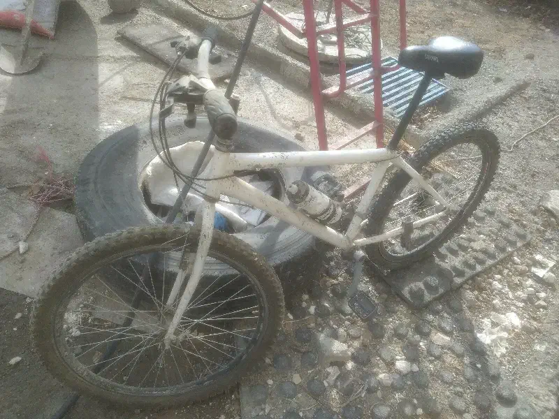 دوچرخه 26|دوچرخه، اسکیت، اسکوتر|کرمانشاه, |دیوار