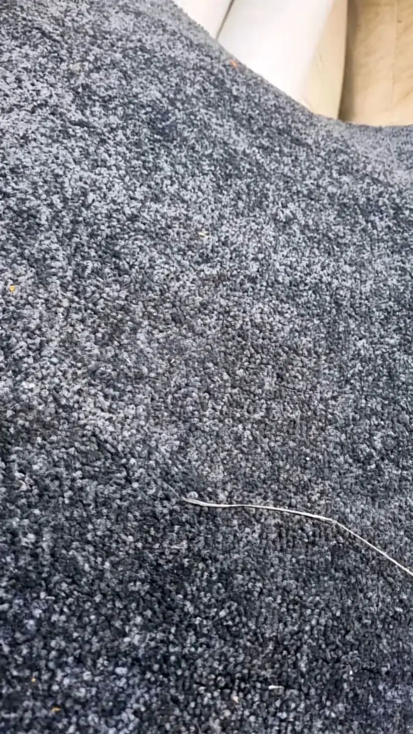 پالاز موکت نمایشگاهی|موکت|نسیمشهر, |دیوار