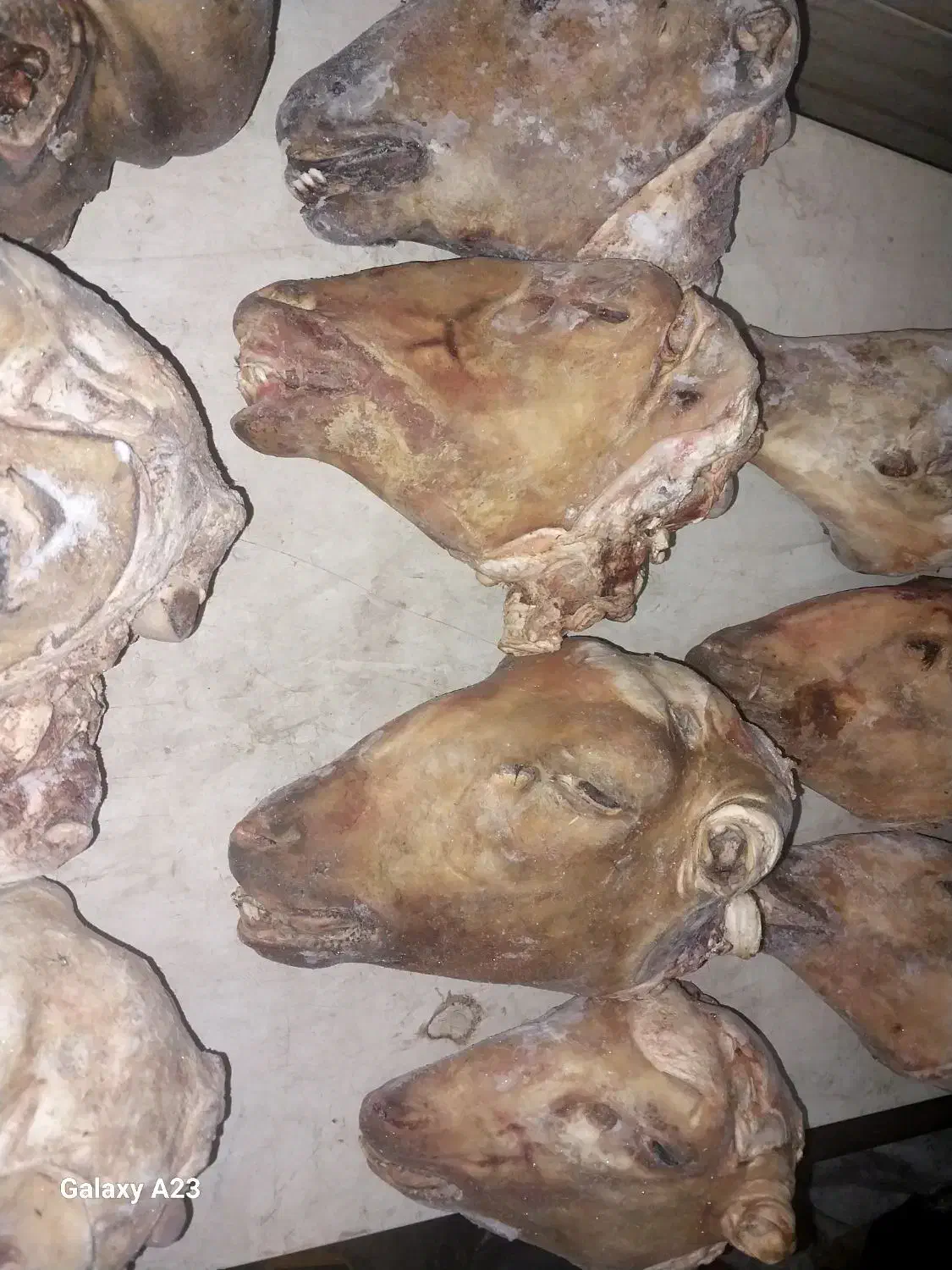 کله پاچه بره و شیشک پاچه گوساله و سیرابی|خوردنی و آشامیدنی|خمینی‌شهر, |دیوار