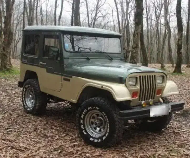 جیپ صحرا|خودرو سواری و وانت|مشهد, عیدگاه|دیوار