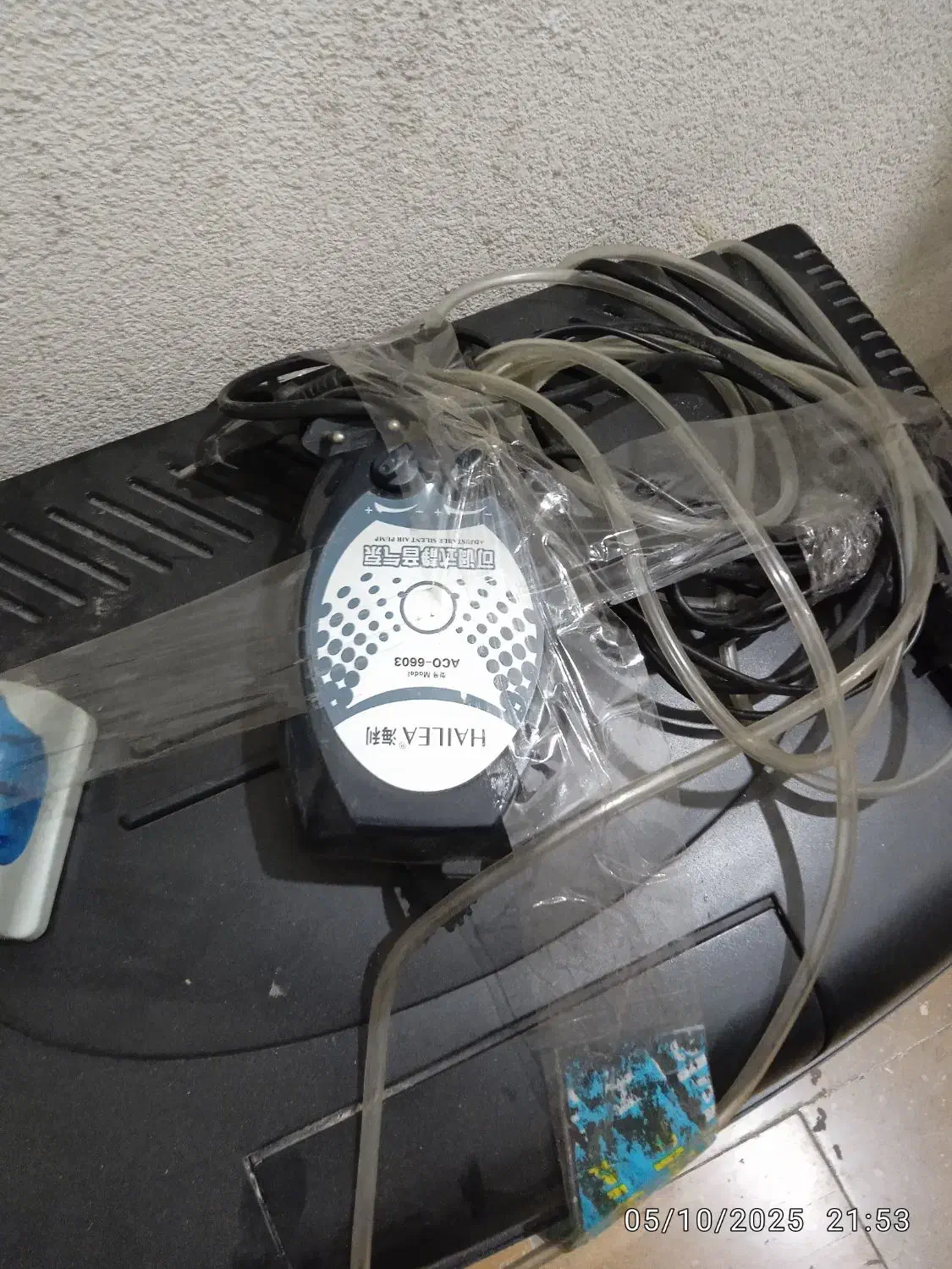 آکواریوم|ماهی|تهران, اقدسیه|دیوار