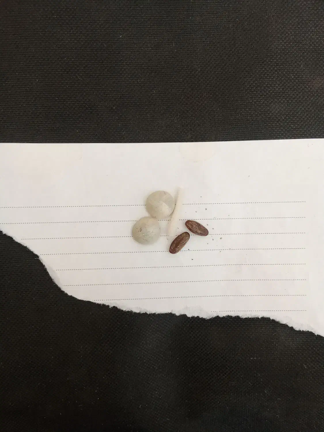 فروش سنگهای قیمتی|جواهرات|مرودشت, فاز دوم شهرک فرهنگیان|دیوار