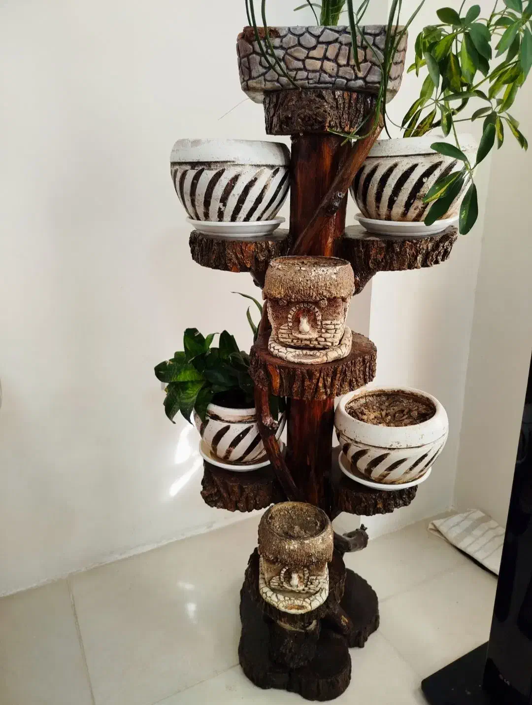 استند گل تنه ی درخت|گل و گیاه طبیعی|محمدیه-قزوین, |دیوار