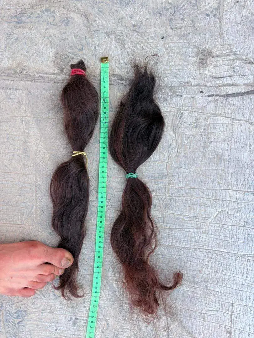 موی طبیعی انسان سالم، بدون رنگ و بدون دکلره|آرایشی، بهداشتی، درمانی|پاکدشت, پاکدشت (مامازند)|دیوار