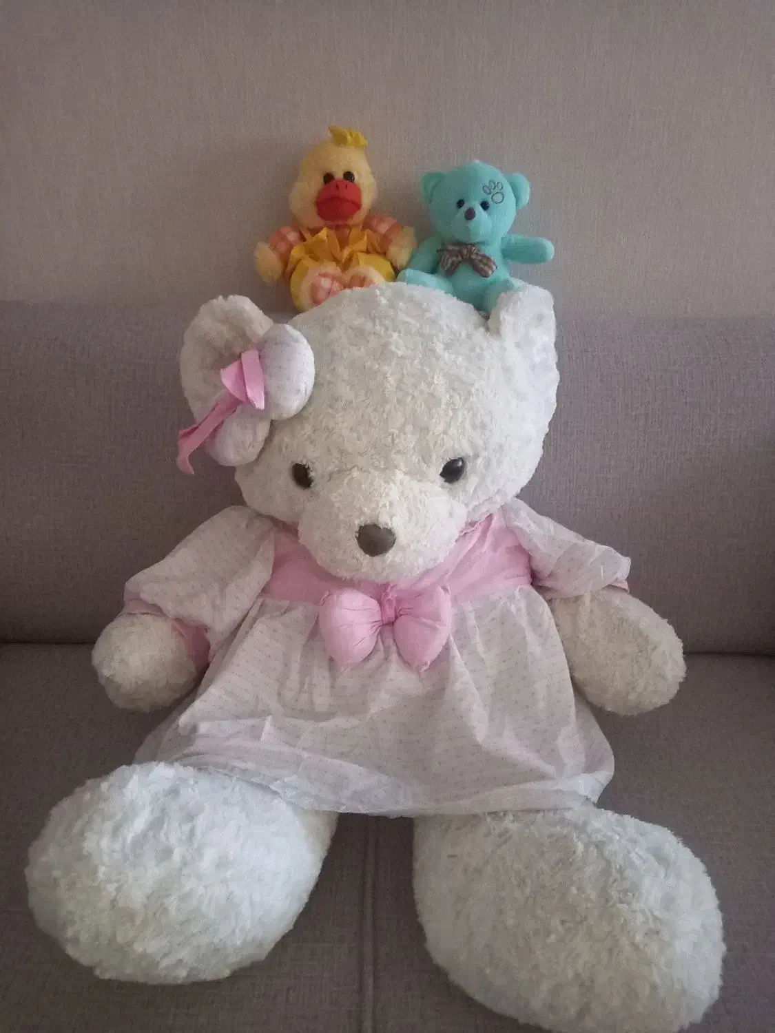 عروسک|اسباب‌بازی بچه|بجنورد, |دیوار