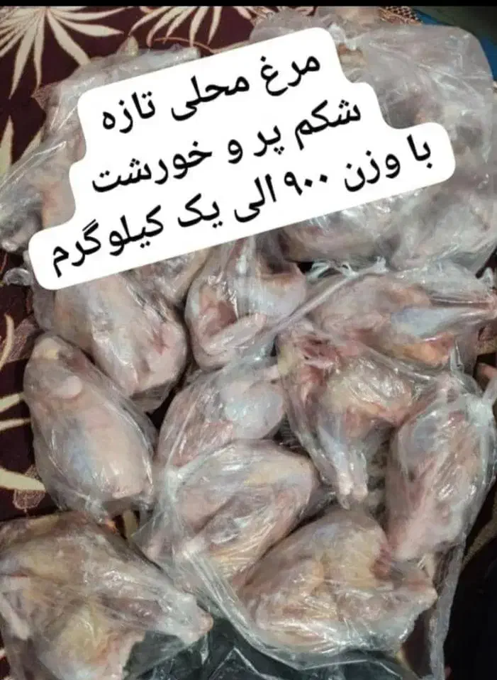 فروش خمیرکوبیده گوشت و مرغ و پتو و بالشت و...|خوردنی و آشامیدنی|بندر ماهشهر, |دیوار