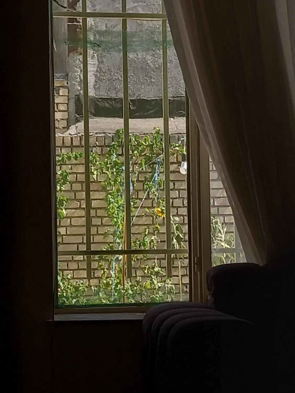 رهن خانه ویلایی|اجارهٔ خانه و ویلا|گلبهار, شهر جدید گلبهار|دیوار