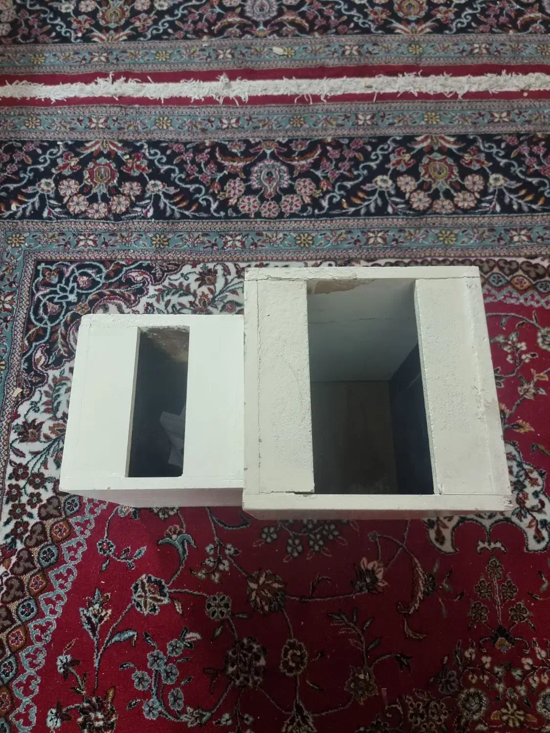 لونه کفتر یامرغ عشق یا...|لوازم جانبی حیوانات|قم, زنبیل آباد|دیوار