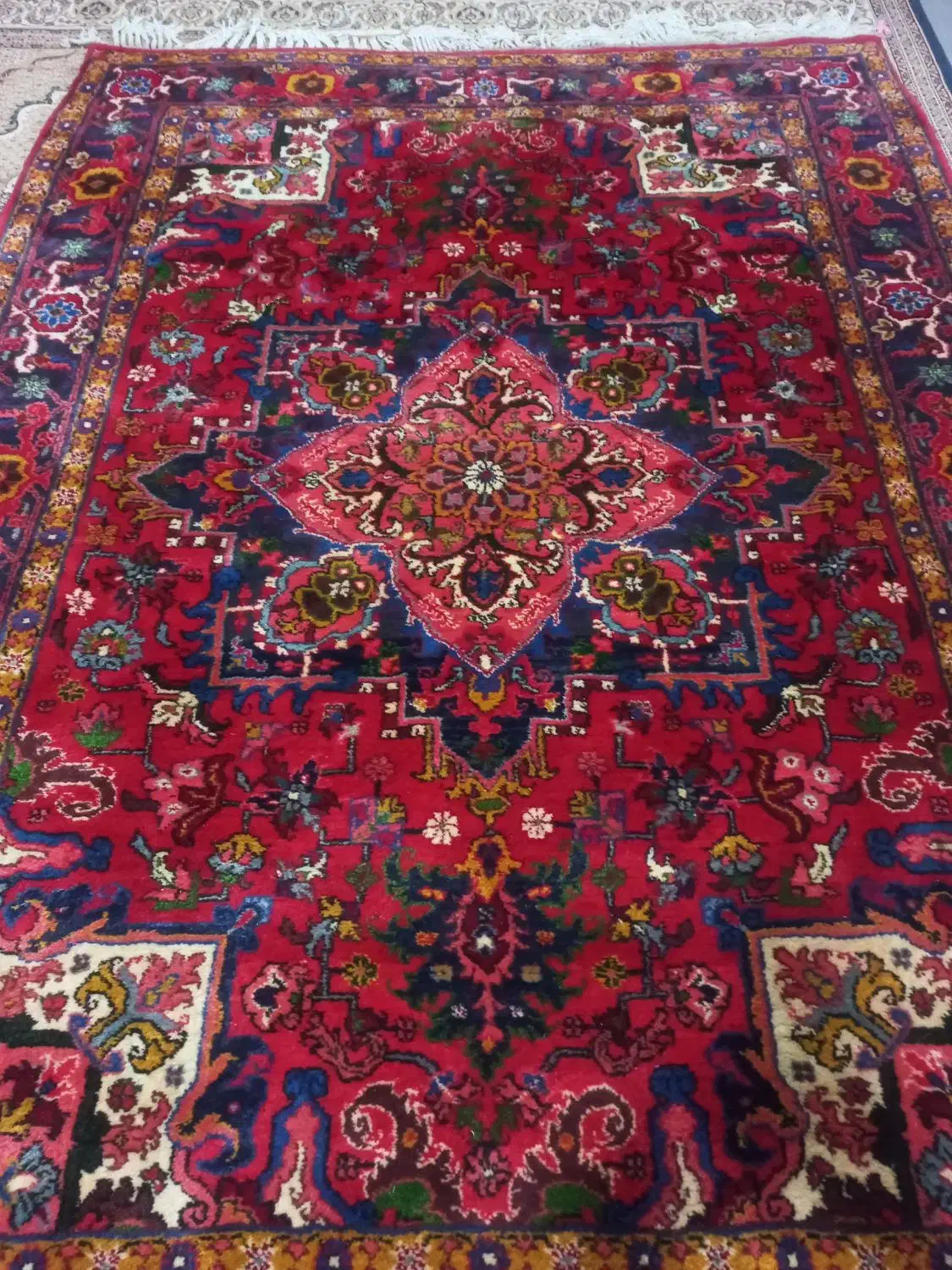 هریس ۶ متری|فرش|مراغه, |دیوار