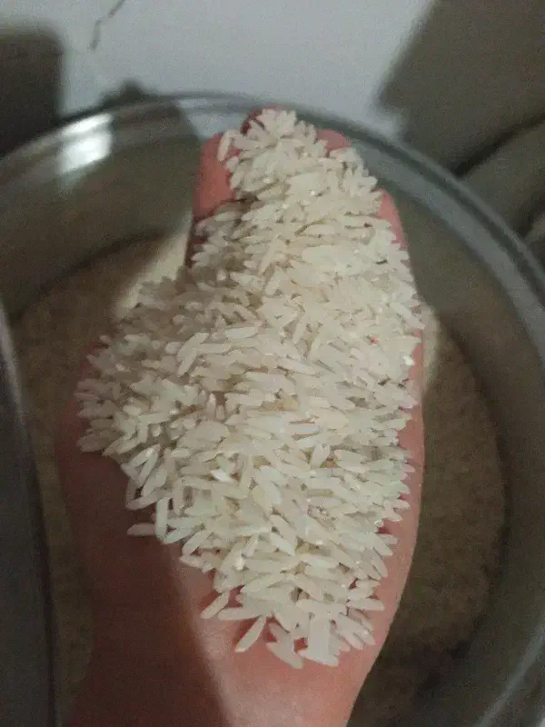 برنج|خوردنی و آشامیدنی|ساری, |دیوار