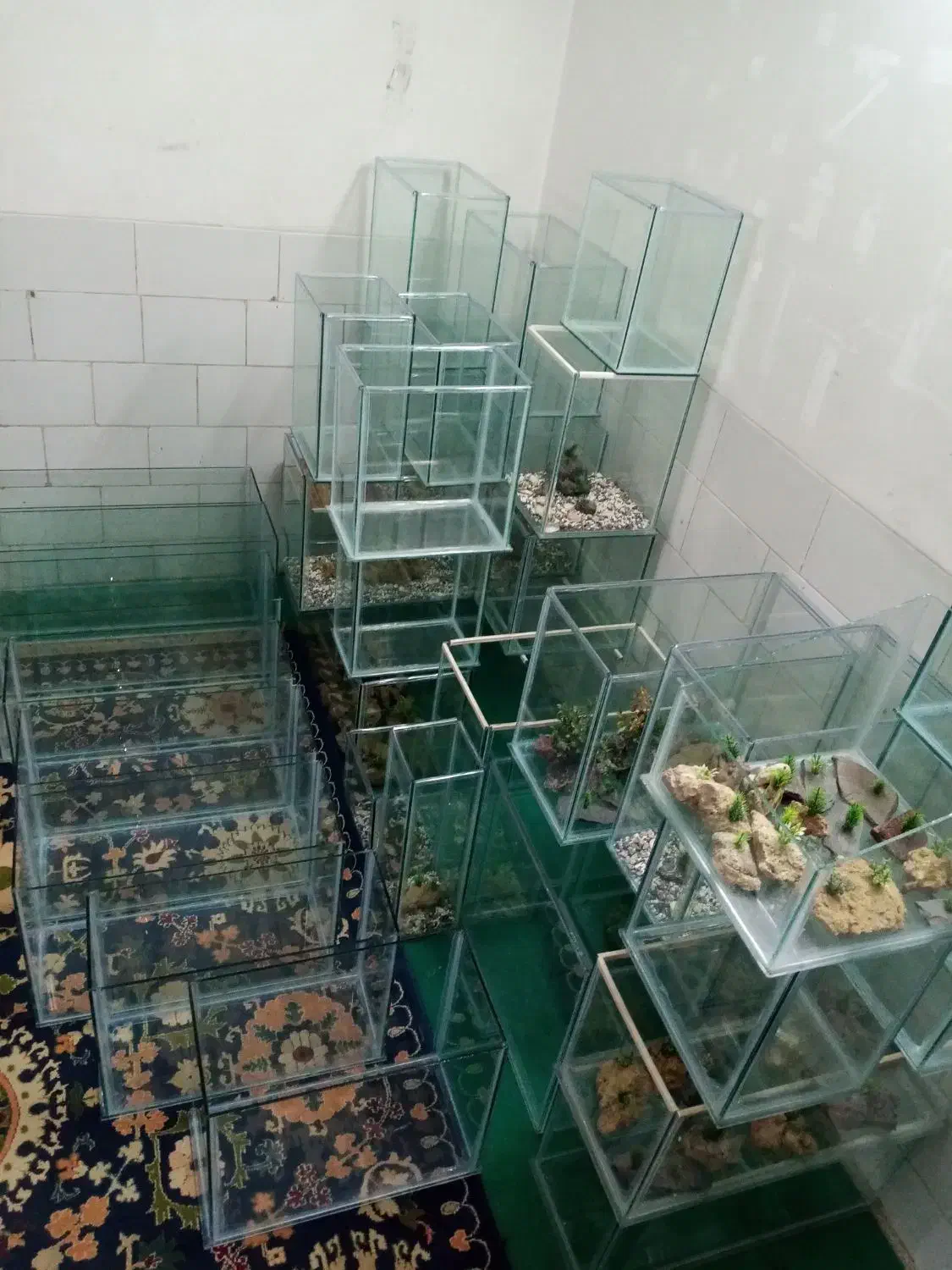 اکواریم نو متنوع|ماهی|یزد, |دیوار