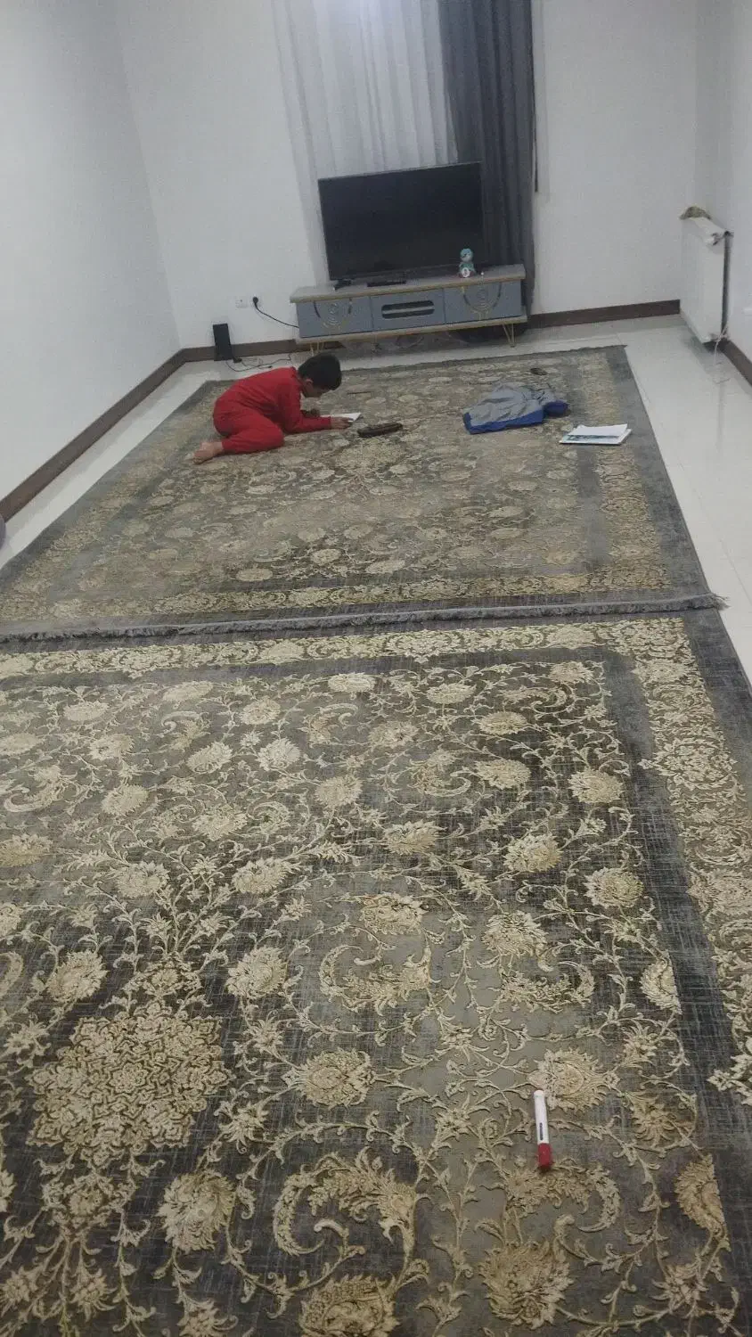 فرش ۱۲۰۰شونه دونه ای ۱۸۰۰۰میلیون|فرش|پرند, فاز ۴|دیوار