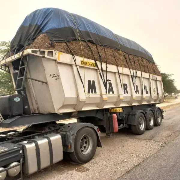 باگاس نیشکر|حیوانات مزرعه|کیش, |دیوار