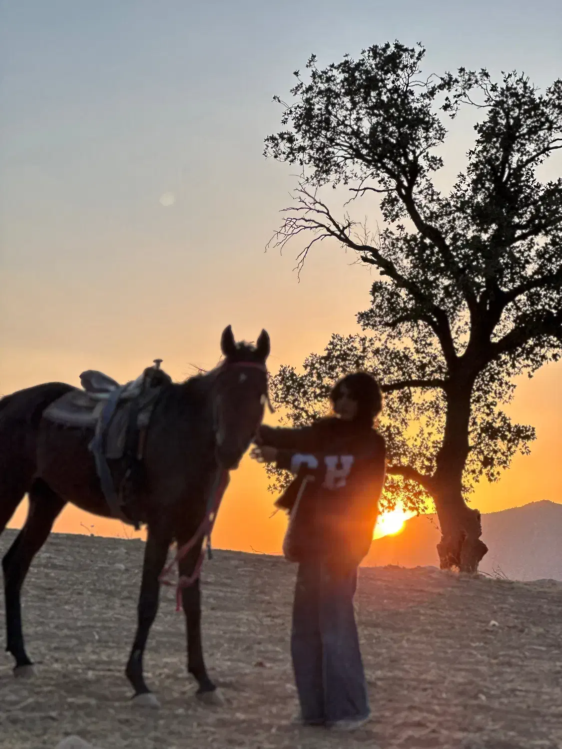 اسب سواری کوهدشت (مجموعه تفریحی)|خدمات آموزشی|کوهدشت, |دیوار