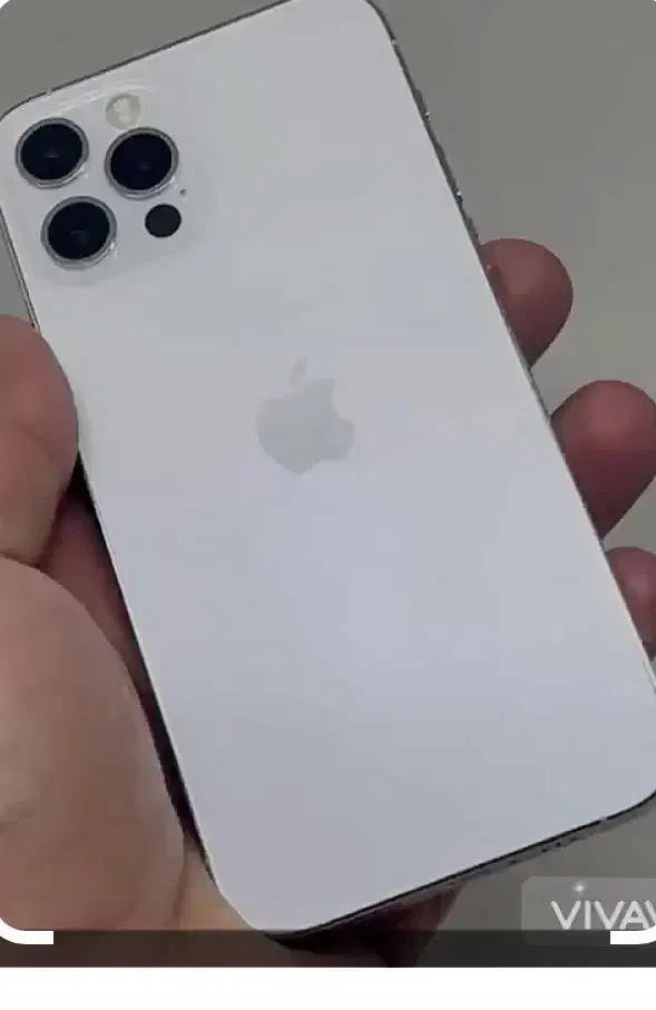 ایفون ۱۲ پرو دو سیم|موبایل|دامغان, |دیوار