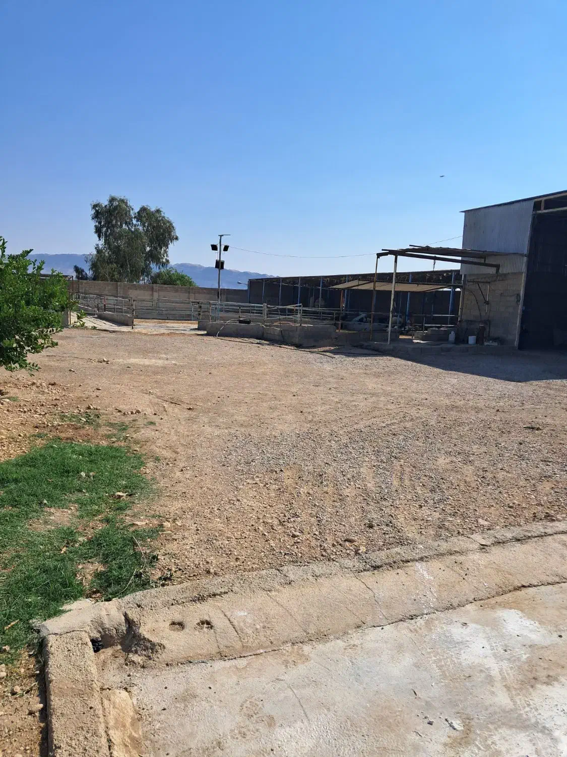 گاوداری  فروشی|فروش دفتر صنعتی، کشاورزی، تجاری|مسجد سلیمان, |دیوار