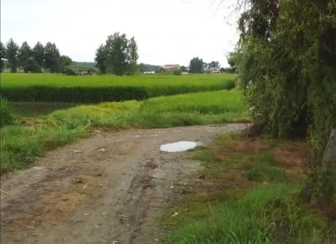 باغ کوچک در بهترین منطقه خوش آب و هوایی|فروش زمین و ملک کلنگی|کندوان, |دیوار