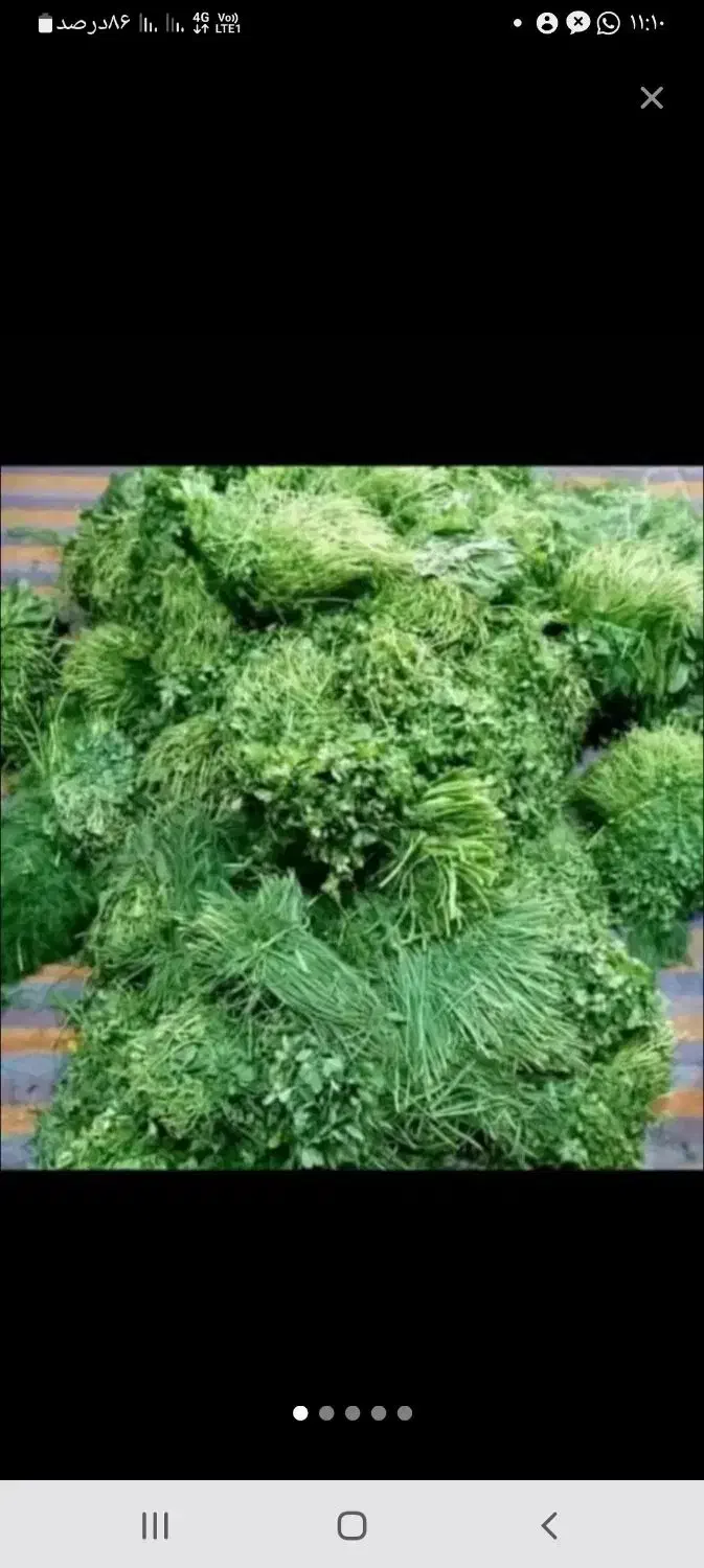 عنوا سبزی خام رامهرمزارسال به سرتاسرکشور|خوردنی و آشامیدنی|اصفهان, دانشگاه افسری امیرالمومنین|دیوار