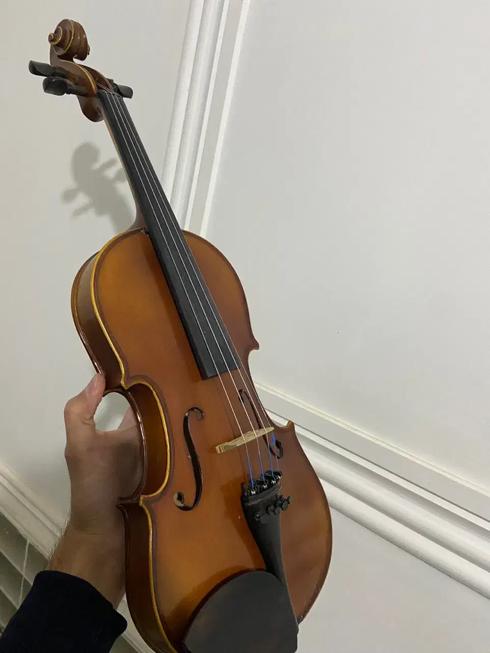 ویلن تی اف ۱۴۲|ویولن|زاهدان, |دیوار