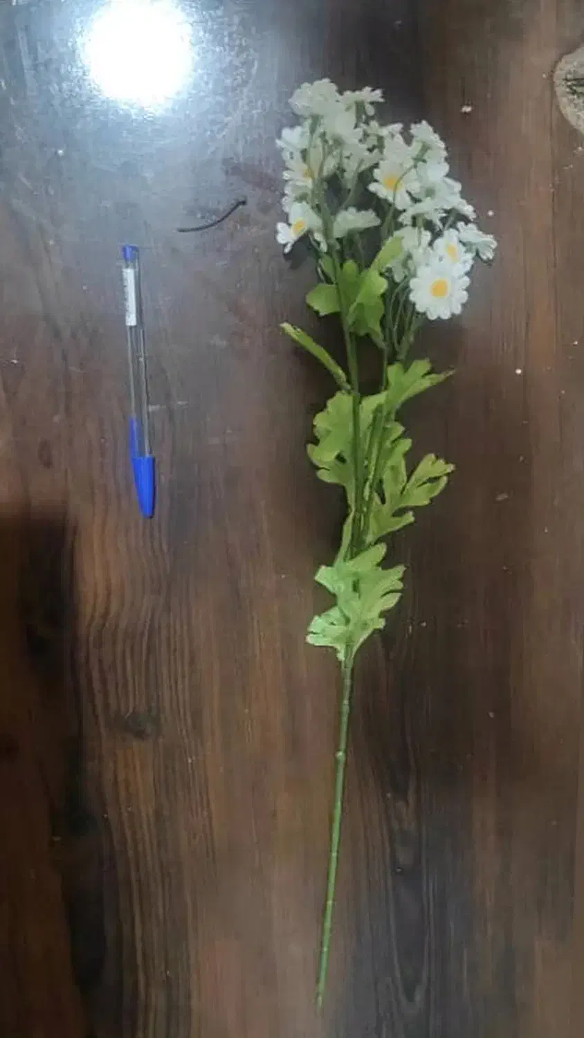 بوته های مصنوعی وارداتی|گل مصنوعی|قم, باجک یک|دیوار