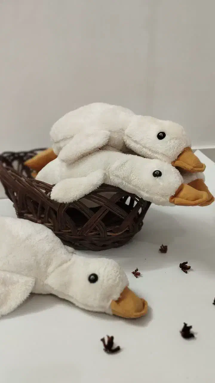 غاز|اسباببازی|تربتحیدریه, طالقانی|دیوار