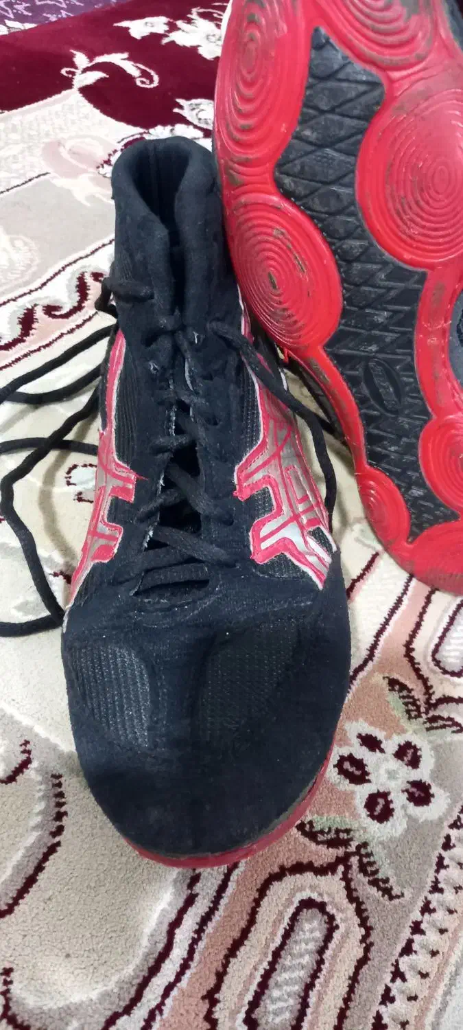 کفش کشتی|کیف، کفش، کمربند|اردبیل, |دیوار