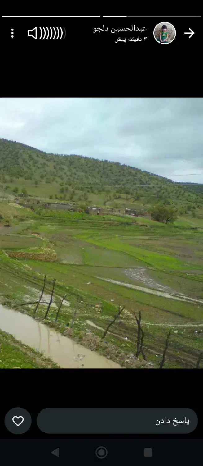 خرده برنج|خوردنی و آشامیدنی|چیتاب, |دیوار