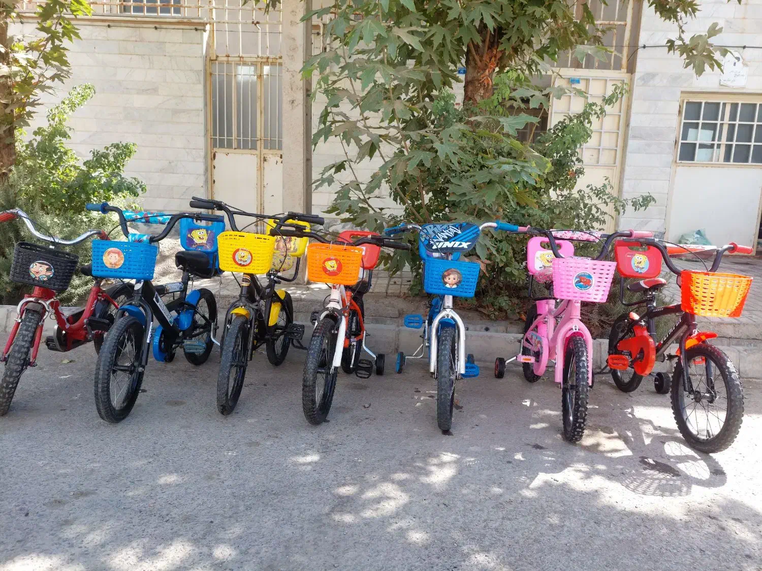 سایز ۱۶ رنگبندی|دوچرخه، اسکیت، اسکوتر|نیشابور, بنیاد شهید|دیوار