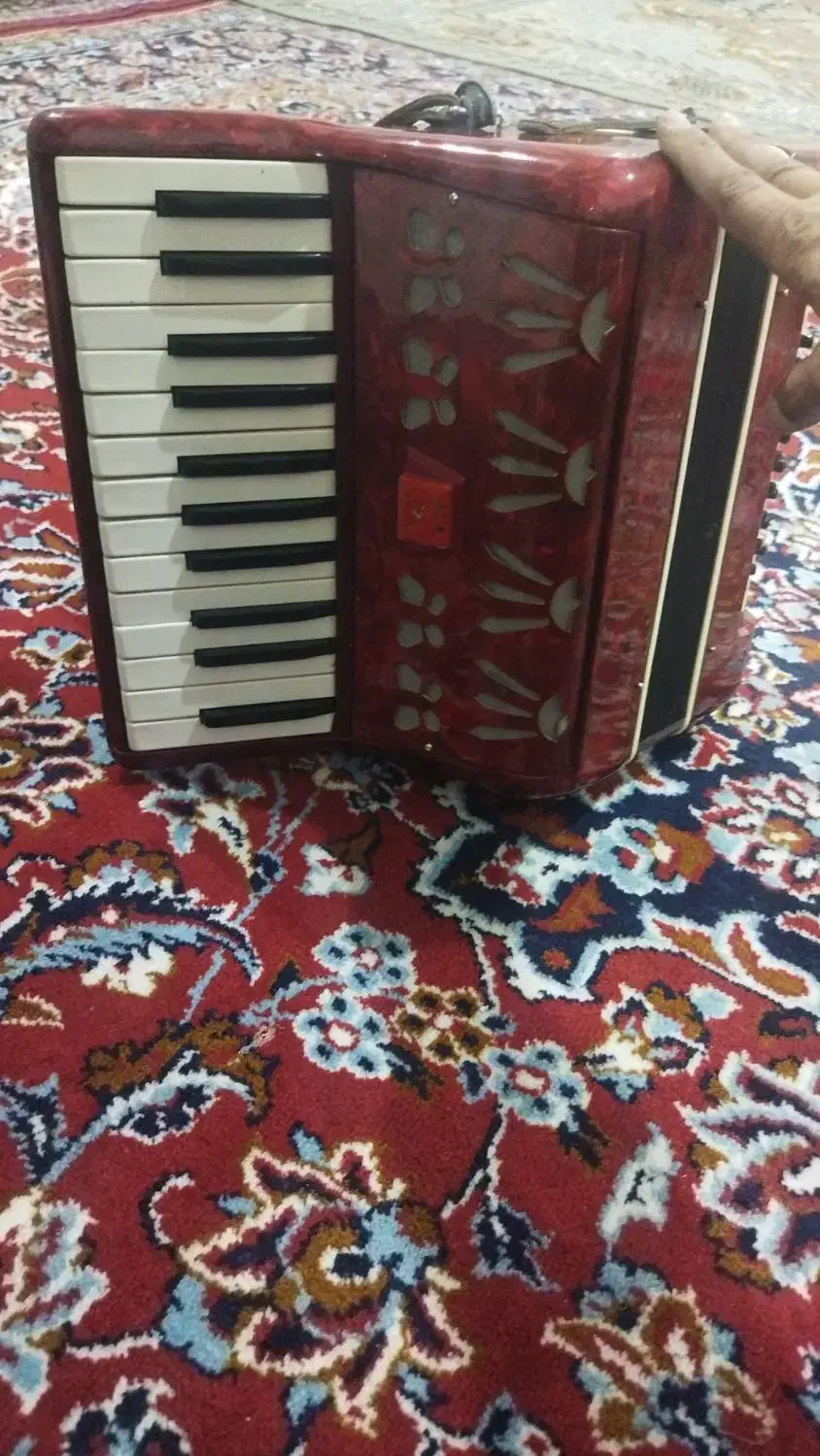 اکاردعون بایلی|پیانو، کیبورد، آکاردئون|تبریز, |دیوار