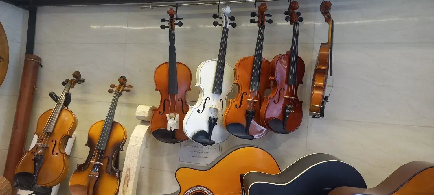 فروش انواع ویولن از مبتدی تا حرفه ای|ویولن|گلپایگان, |دیوار