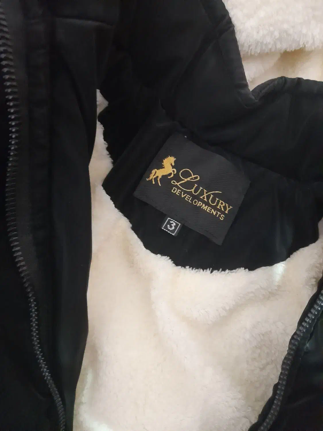 پالتو|لباس|کرمان, |دیوار