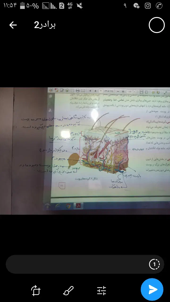 تدریس زیست دبیرستان|خدمات آموزشی|رشت, گلسار|دیوار