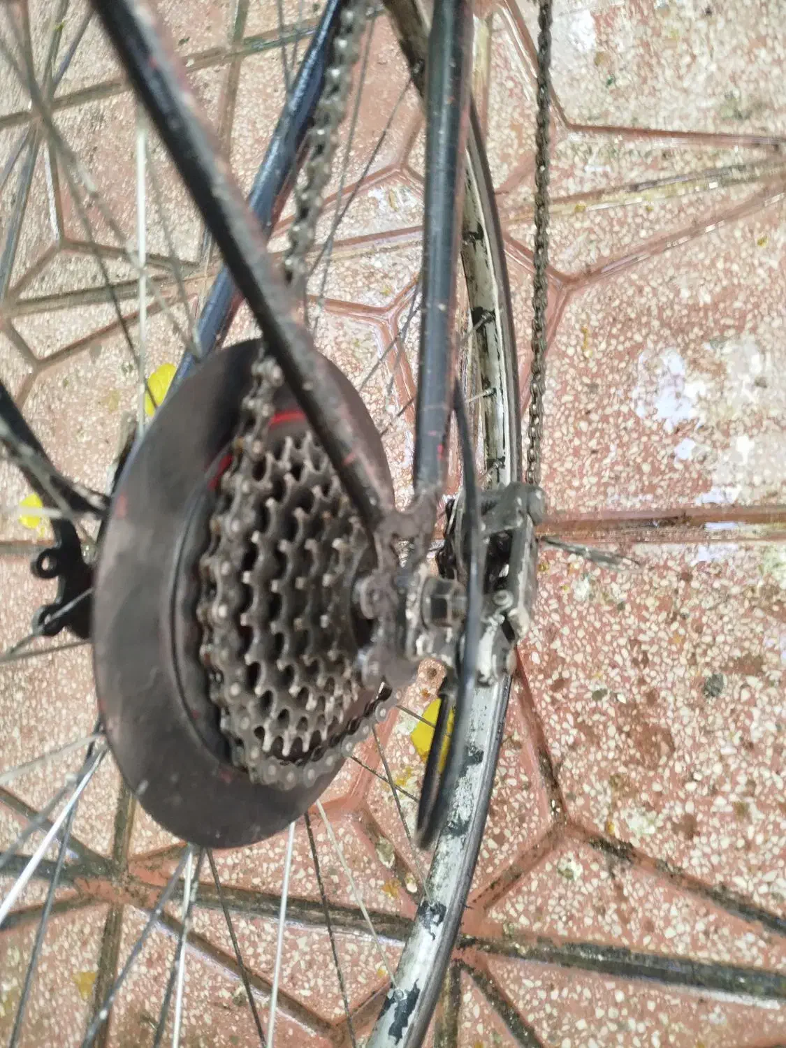 دوچرخه|دوچرخه، اسکیت، اسکوتر|همدان, |دیوار