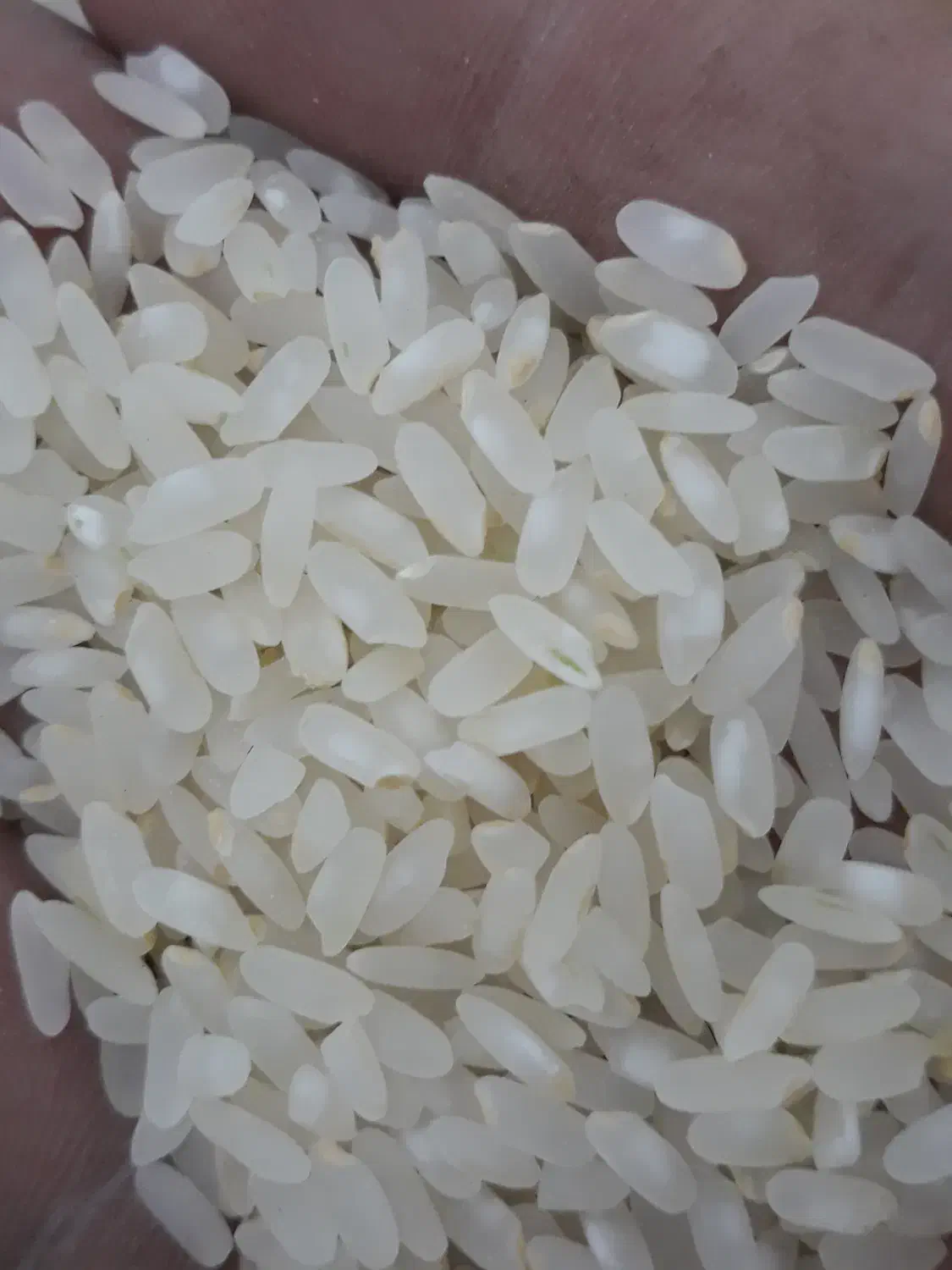 برنج ویژه منطقه درودزن|خوردنی و آشامیدنی|شیراز, میانرود|دیوار