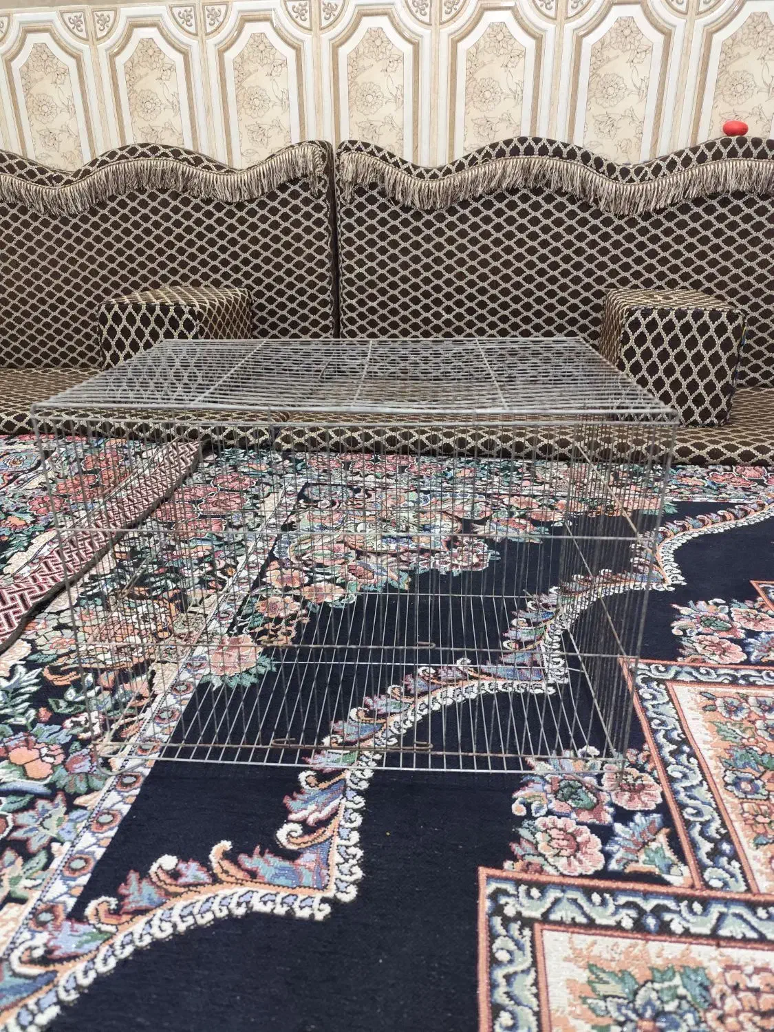 فروش قفس پرنده زینتی|لوازم جانبی حیوانات|اهواز, پردیس|دیوار