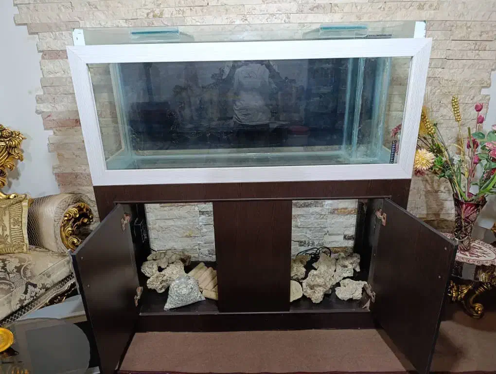 آکواریوم|ماهی|بازرگان, |دیوار