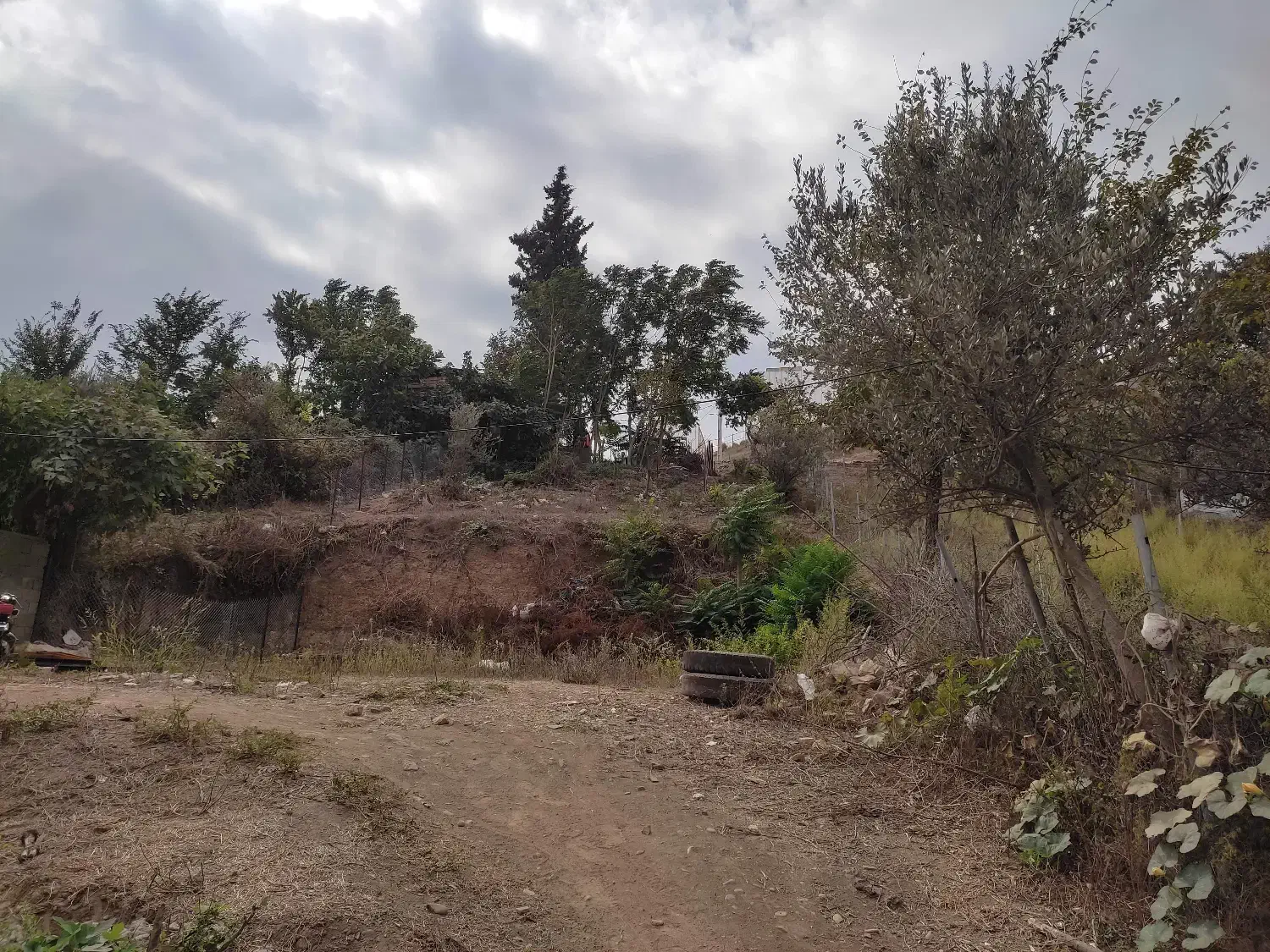 زمین مسکونی داخل بافت به متراژ 590 متر رستم آباد|فروش زمین و ملک کلنگی|رستمآباد, |دیوار