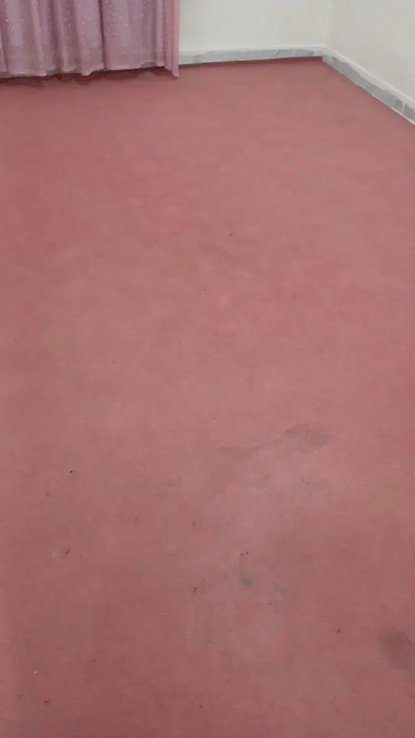 موکت|موکت|کرمانشاه, |دیوار