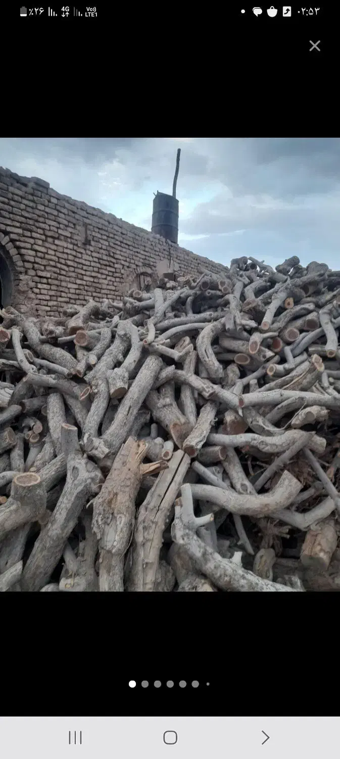 خرید چوب و فروش ذغال کبابی|گل و گیاه طبیعی|بروجن, |دیوار