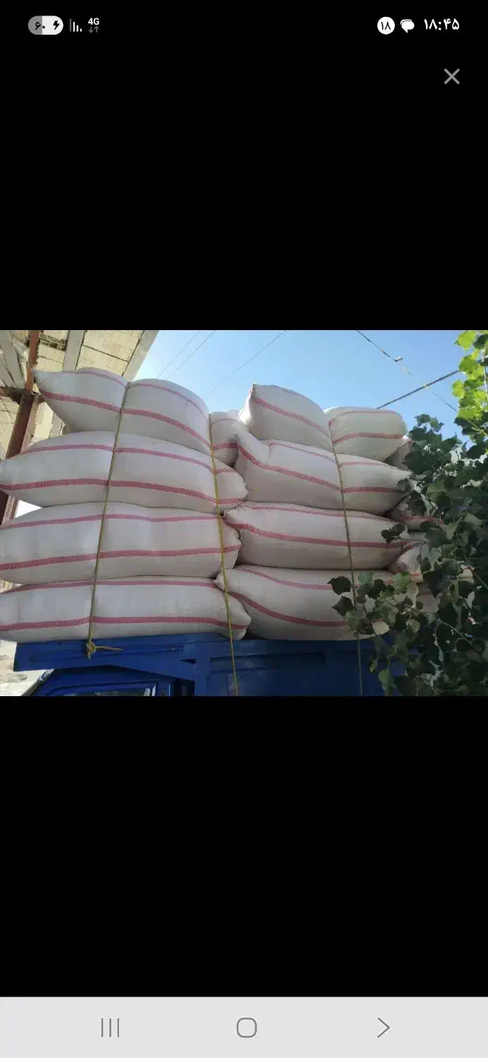 کاه فروشی|عمدهفروشی|پاپی, |دیوار