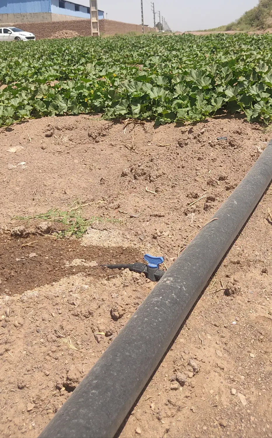 دوهزار متر زمین سندششدانگ آب برق گار پای زمین|فروش زمین و ملک کلنگی|اشتهارد, |دیوار