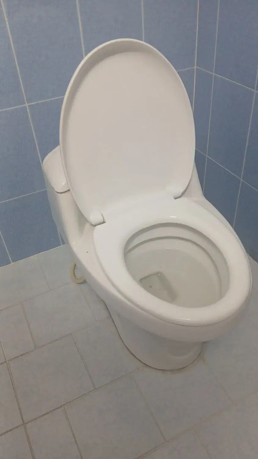 توالت فرنگی|لوازم سرویس بهداشتی|رفسنجان, |دیوار