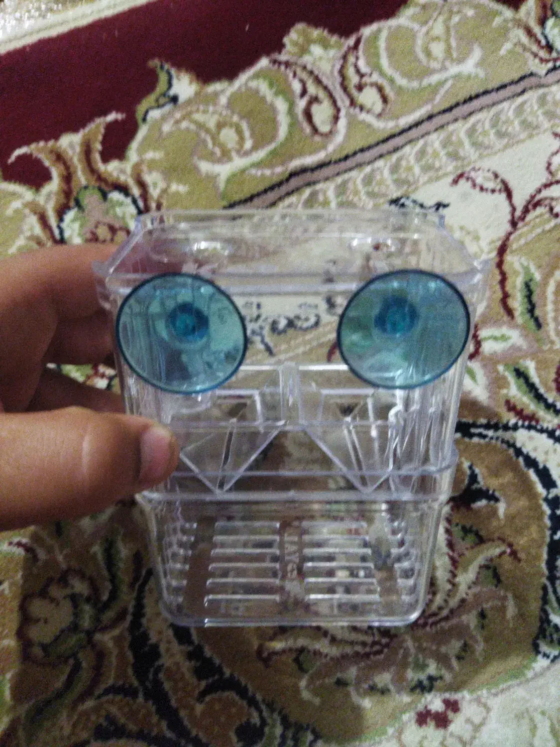 زایشگاه ماهی گوپی|ماهی|گرگان, |دیوار